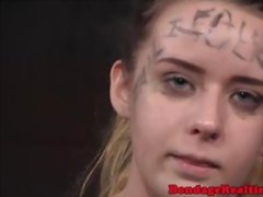 Sybian riding submissive clamped with pegs